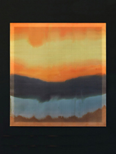 Dani Jakob / Curtain