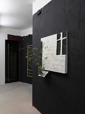 lin_may_06