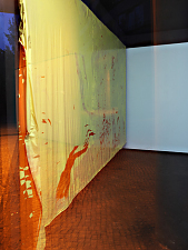 Sascha Hahn